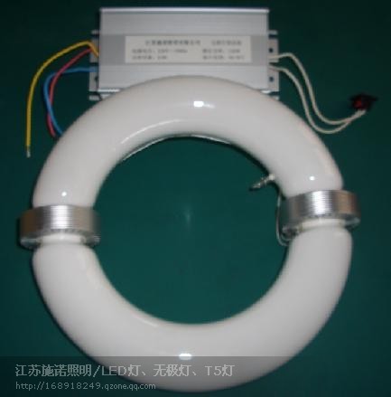 供应无极灯光源